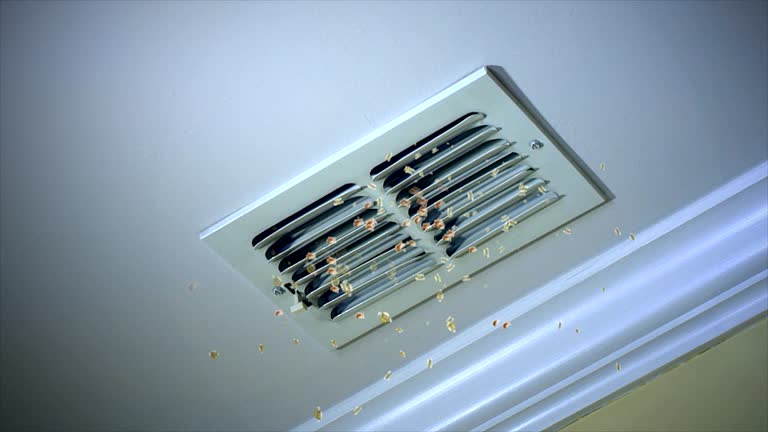 Best Air Duct Sanitizing Services  in Nederland, TX