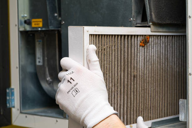 Best Ventilation Cleaning Services  in Nederland, TX