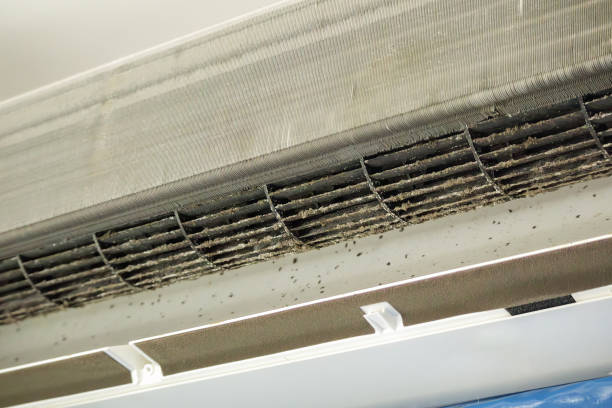Air Duct Mold Removal in Nederland, TX