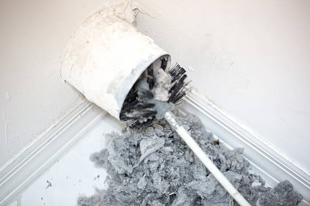 Best Affordable HVAC Duct Cleaning  in Nederland, TX